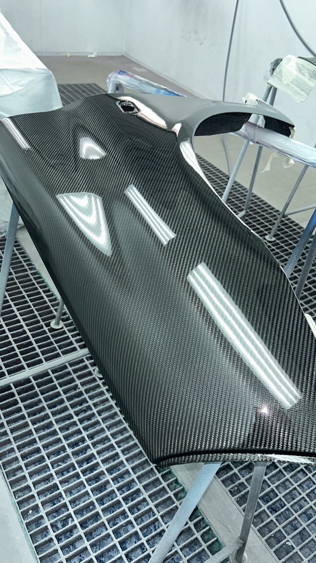 Aleta de Clio Sport en carbono